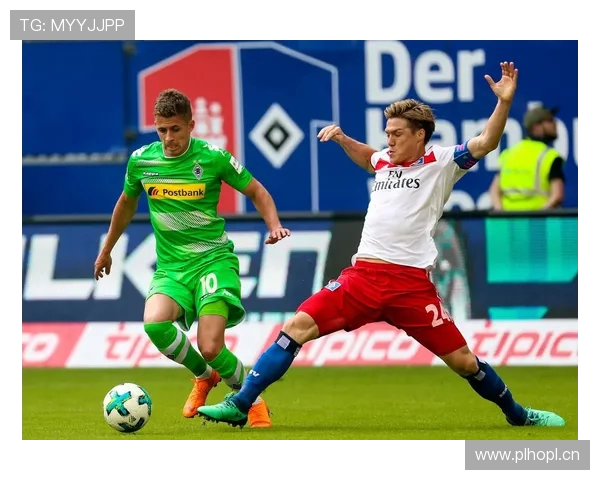 汉堡主帅:七年德乙征程后球队战术需进行全方位调整 汉堡主帅:七年德乙征程后球队战术需进行全方位调整